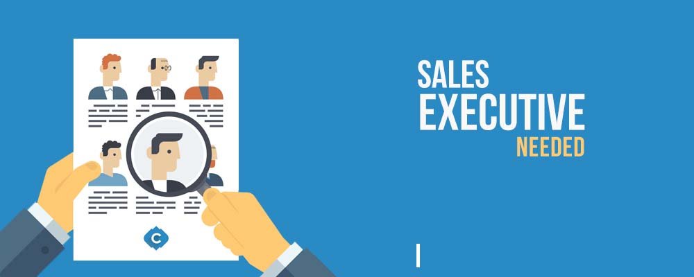 Sales Executive